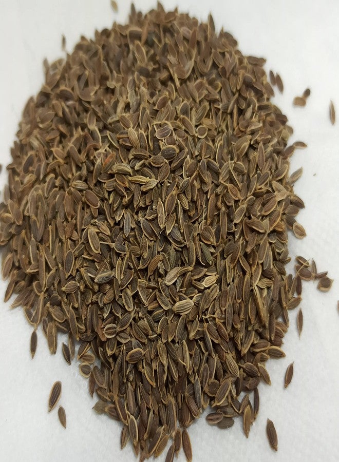 NATURALIFE'S-*SATHA KUPPAI*-சதகுப்பை I Sathakuppai I Dill I Anethum Sowa I Soyo I soyo I Sathakuppa I Chatakuppa I Sadapa Vittulu (500 جرام) - Image 3