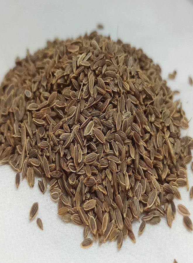 NATURALIFE'S-*SATHA KUPPAI*-சதகுப்பை I Sathakuppai I Dill I Anethum Sowa I Soyo I soyo I Sathakuppa I Chatakuppa I Sadapa Vittulu (500 جرام) - Image 5