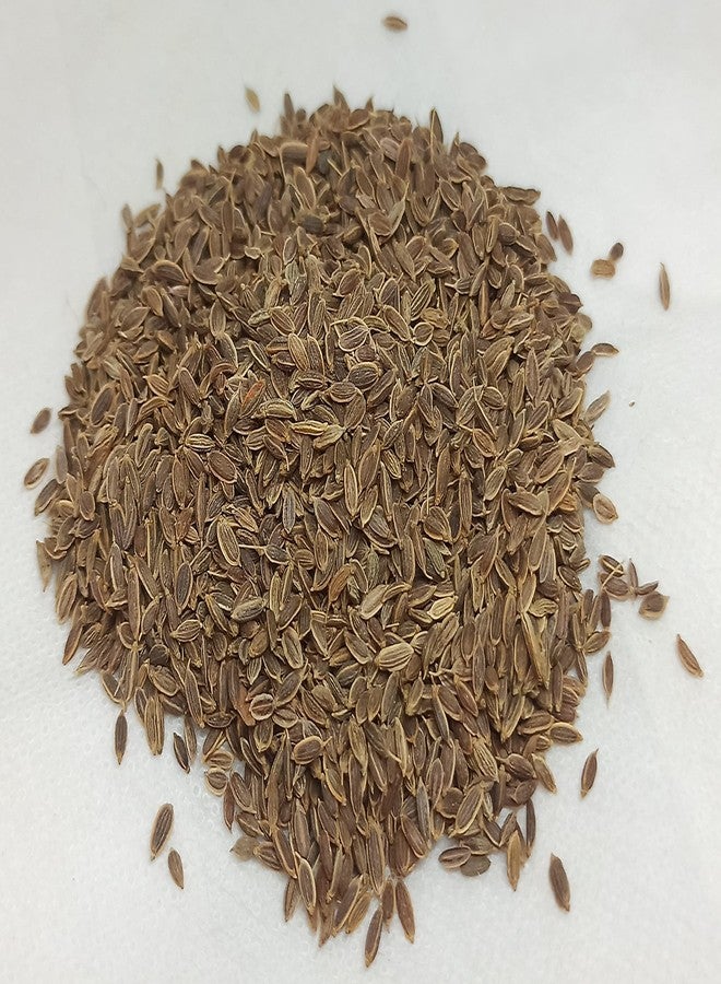 NATURALIFE'S-*SATHA KUPPAI*-சதகுப்பை I Sathakuppai I Dill I Anethum Sowa I Soyo I soyo I Sathakuppa I Chatakuppa I Sadapa Vittulu (500 جرام) - Image 4