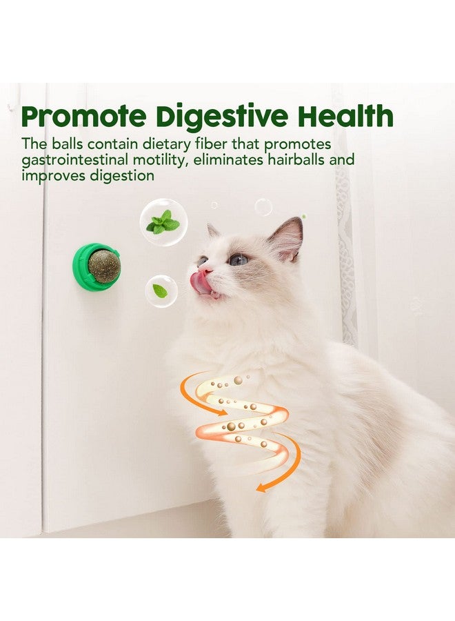 Potaroma Catnip Toys Balls 4 Pcs, Extra Cat Energy Ball, Edible Kitten Silvervine Toys for Cats Lick, Healthy Kitty Teeth Cleaning Dental Chew Toys, Cat Wall Treats (Green) - Image 4