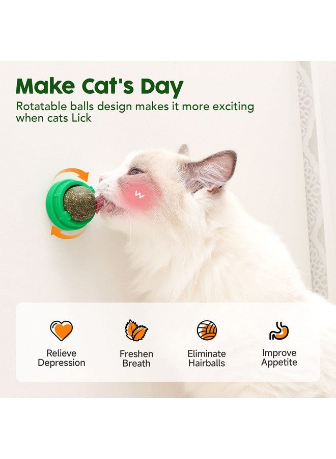 Potaroma Catnip Toys Balls 4 Pcs, Extra Cat Energy Ball, Edible Kitten Silvervine Toys for Cats Lick, Healthy Kitty Teeth Cleaning Dental Chew Toys, Cat Wall Treats (Green) - Image 3