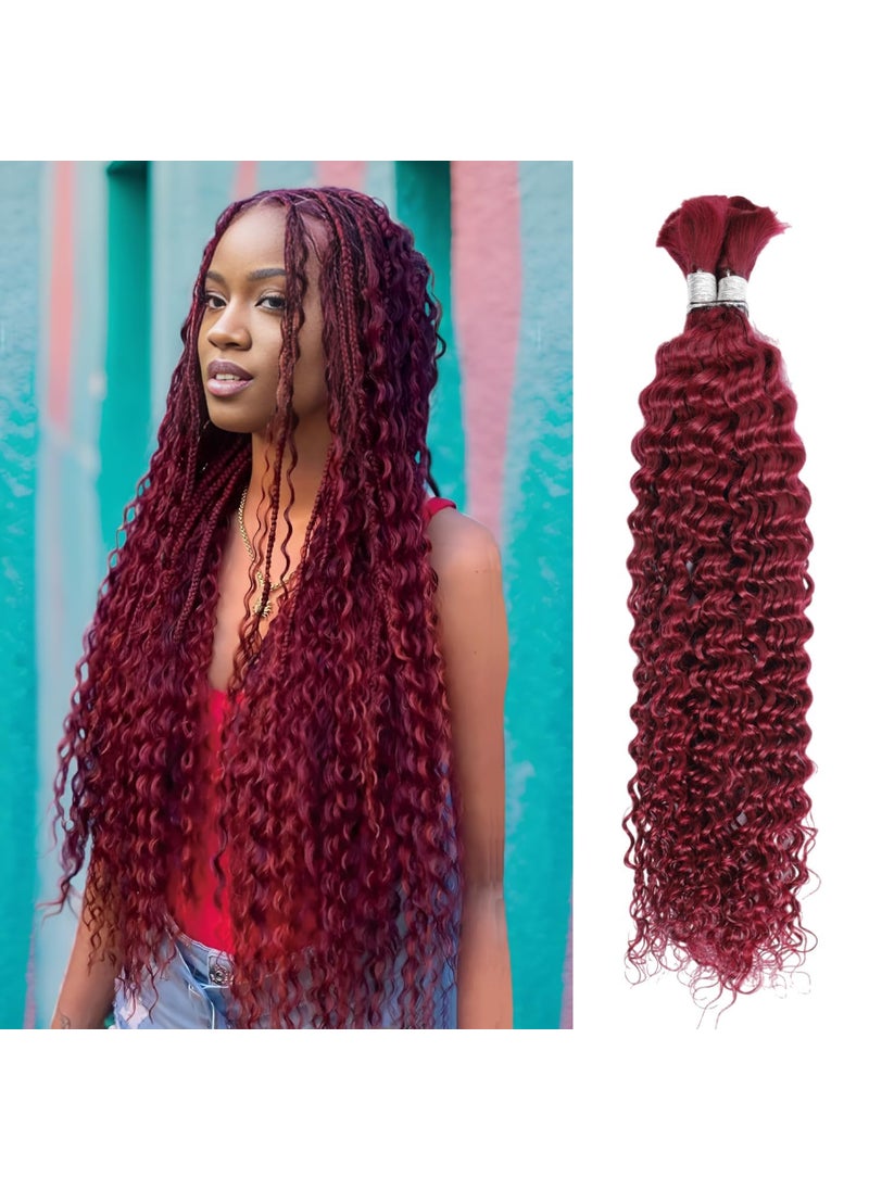 luxnovolex Curly Burgundy Braiding Human Hair 100g 16 Inch 99J Burgundy Deep Water Wave Bulk Human Hair for Braiding No Weft Brazilian Virgin Deep Curly Human Hair Extensions for Boho Braids 