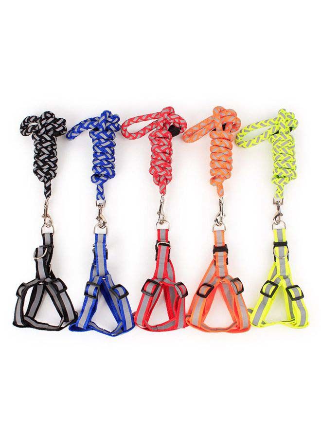 إسكدنيا مقود كلب عاكس أسود/ رمادي 15x12x2سم - Image 2