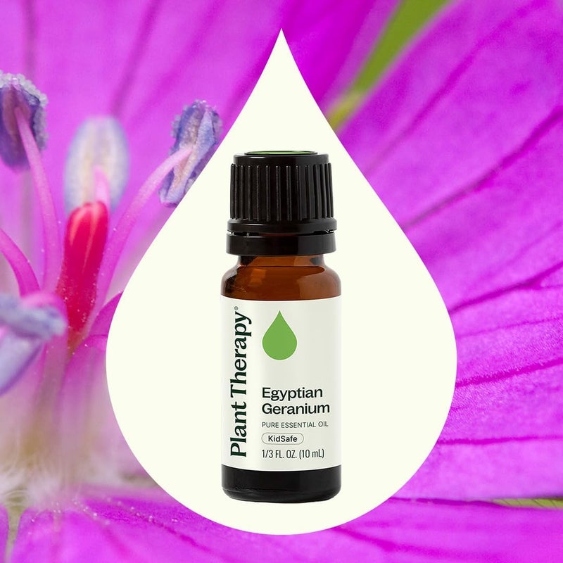 Plant Therapy Egyptian Geranium Essential Oil 100% Pure, Undiluted, Natural Aromatherapy, Therapeutic Grade 10 mL (1/3 oz) - Image 3