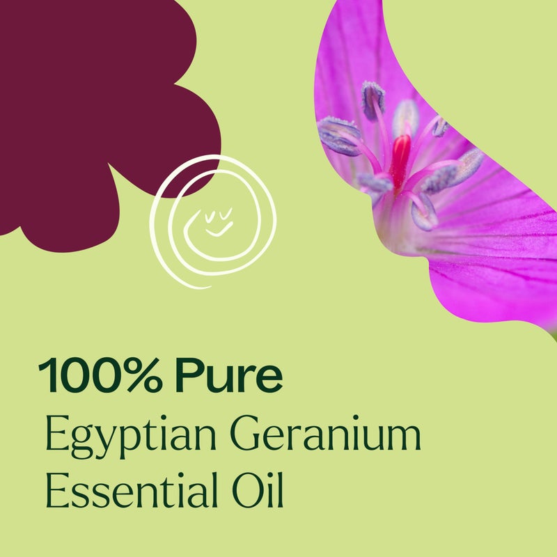 Plant Therapy Egyptian Geranium Essential Oil 100% Pure, Undiluted, Natural Aromatherapy, Therapeutic Grade 10 mL (1/3 oz) - Image 5
