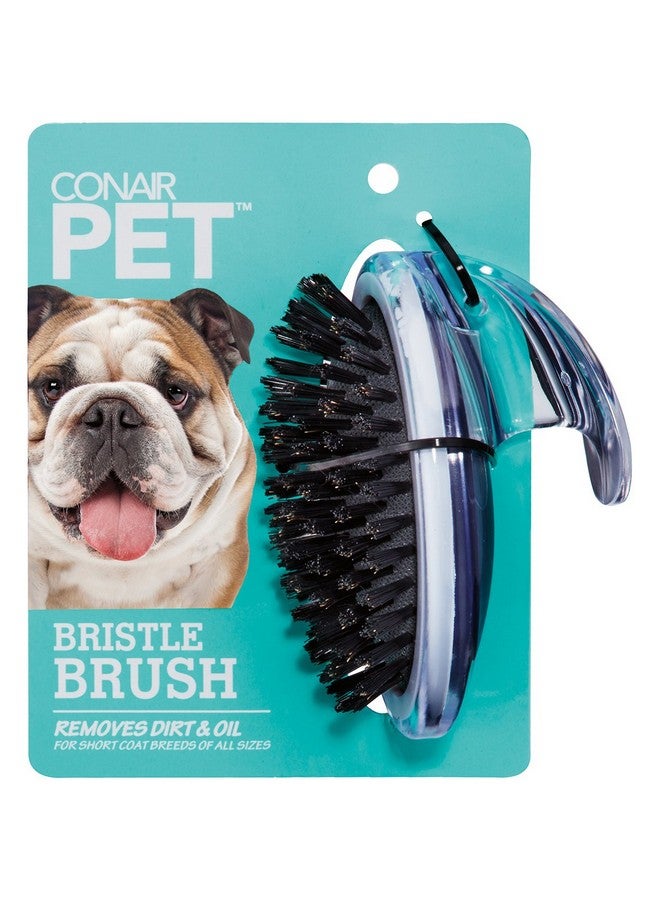CONAIR Groom-Me Bristle Brush- - Image 2