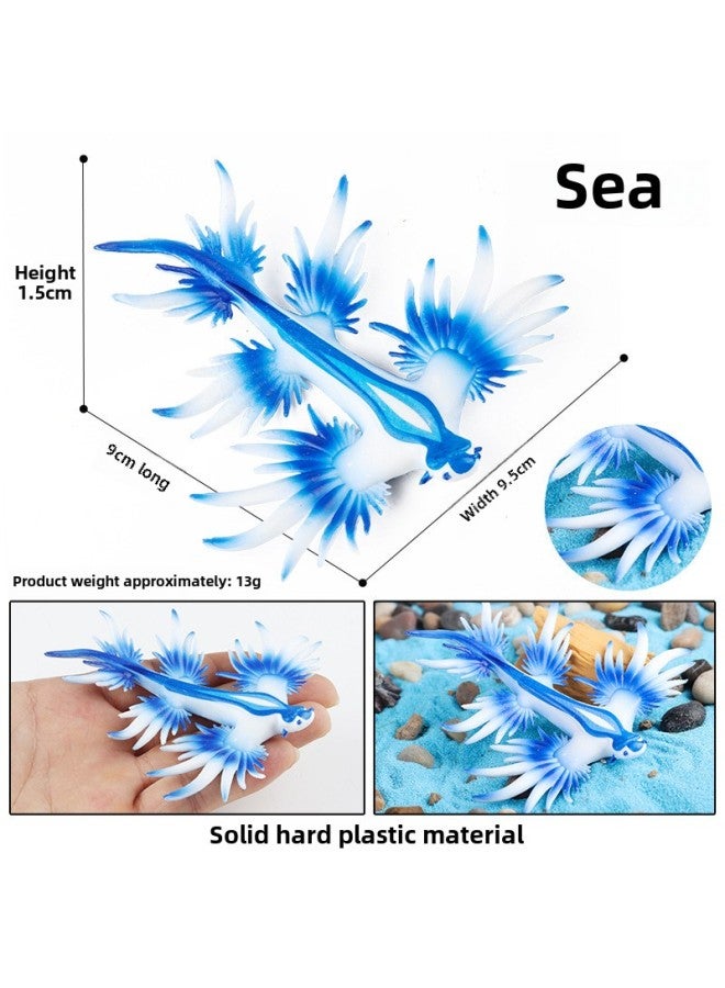 Realistic Animal Models Ocean Crabs Salty Crabs Hermit Sally Three-point Plastic Cognitive Toys-Color:M-2999 Sea Slug (large) - Image 1