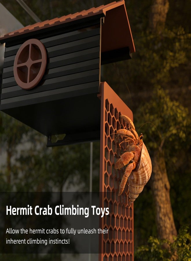 UNISOLODECHO Hermit Crab Accessories | Hermit Crab Climbing Toys with Climbing Wall | Multi-Functional Hermit Crab Hideaway & Foraging Cave with Ladder | Hermit Crab Cage Decorations - Image 4