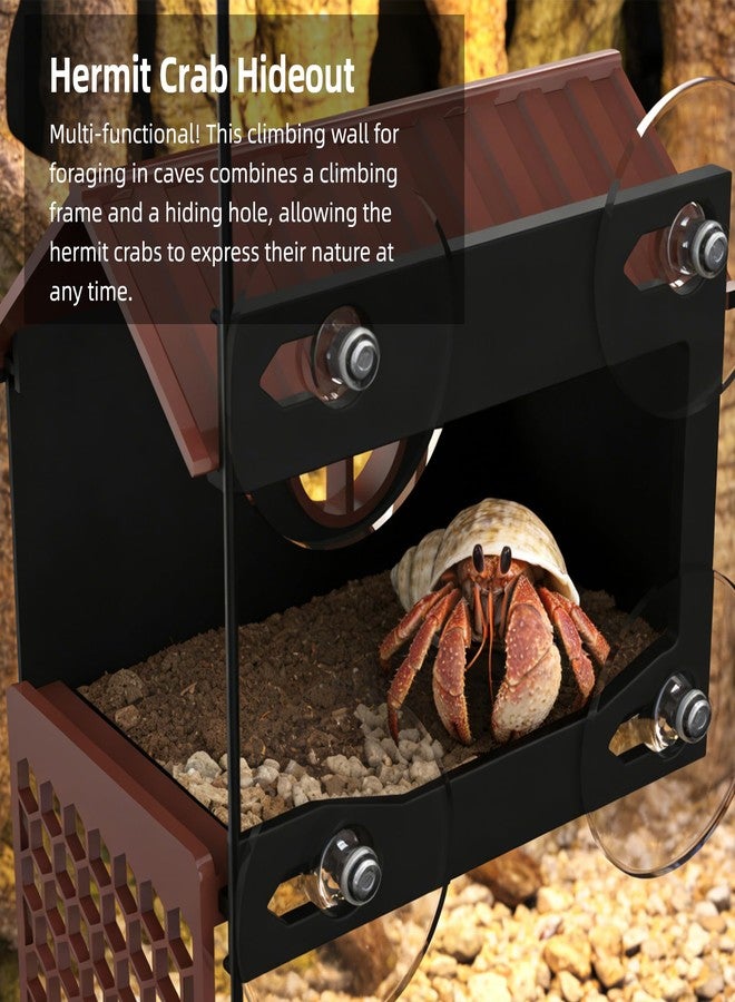 UNISOLODECHO Hermit Crab Accessories | Hermit Crab Climbing Toys with Climbing Wall | Multi-Functional Hermit Crab Hideaway & Foraging Cave with Ladder | Hermit Crab Cage Decorations - Image 3