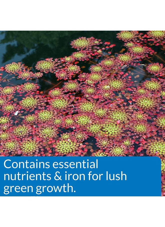 API - API PONDCARE AQUATIC PLANT FOOD TABLETS Potted Plant Fertilizer 3.8-ounce, 25 Tab (185A) - Image 1