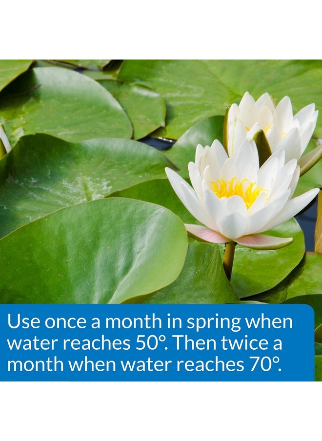 API - API PONDCARE AQUATIC PLANT FOOD TABLETS Potted Plant Fertilizer 3.8-ounce, 25 Tab (185A) - Image 1