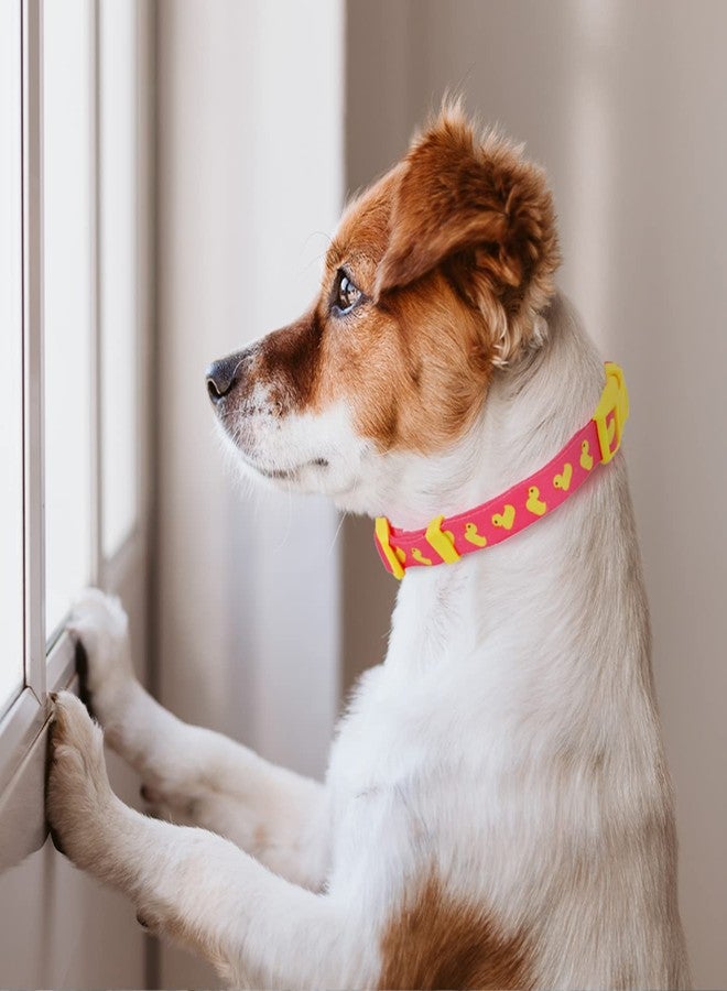 HDE Nylon Dog Collar Adjustable Soft Puppy Collars for Small Medium Large Dogs Ducks Pink - M - Image 2