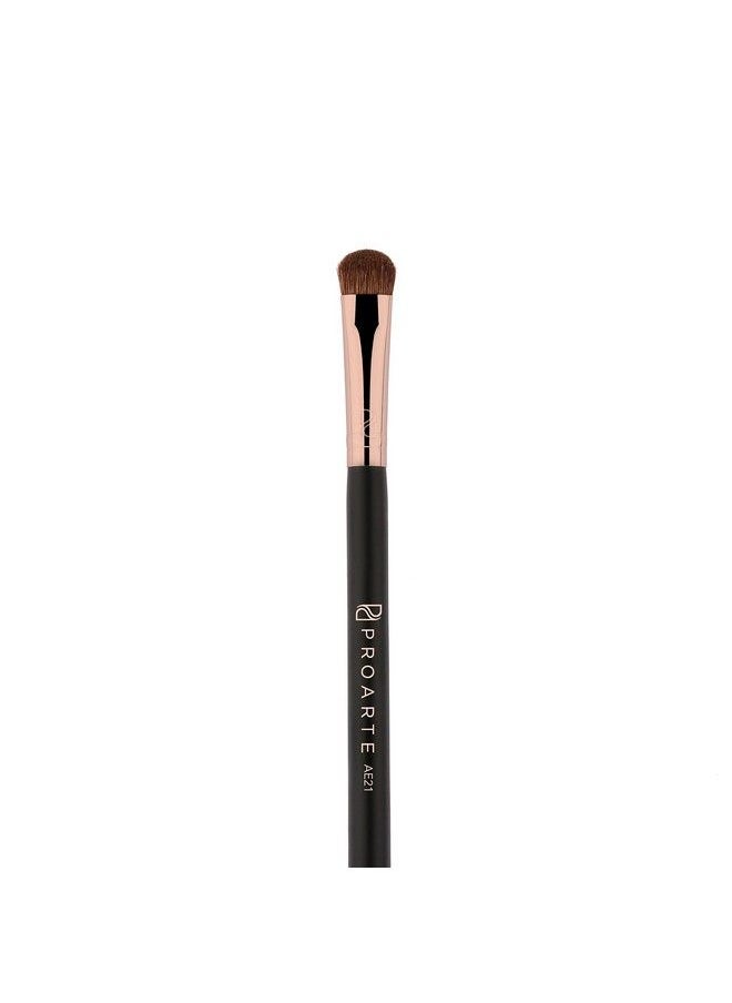 PROARTE - Eyelid Applicator Brush Black 100 G - Image 1