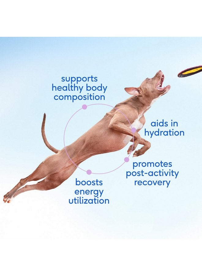 Native Pet Goat Milk Powder for Dogs - Organic Goat Milk for Dogs and Cats - Great Dog Food Additive to Support a Healthy Digestive System for Dogs - 60 Scoops - Image 3