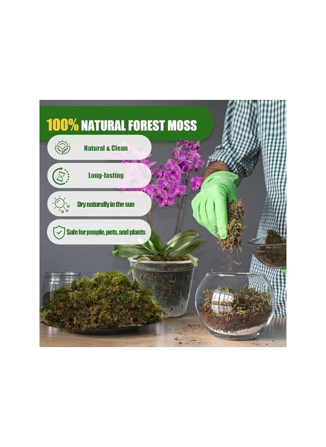 erorex Dried Forest Moss for Plants, 300g Premium Sphagnum Moss Potting Mix, Potting Moss for Various Plants, Including Orchids, Carnivorous Plants Succulents Garden Flowers and Reptiles (Pack of 2)  - Image 3
