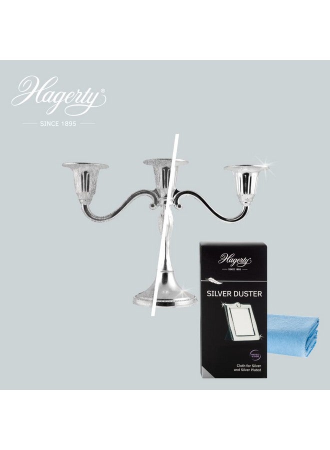 هاجرتي سيلفر داستر - Image 3