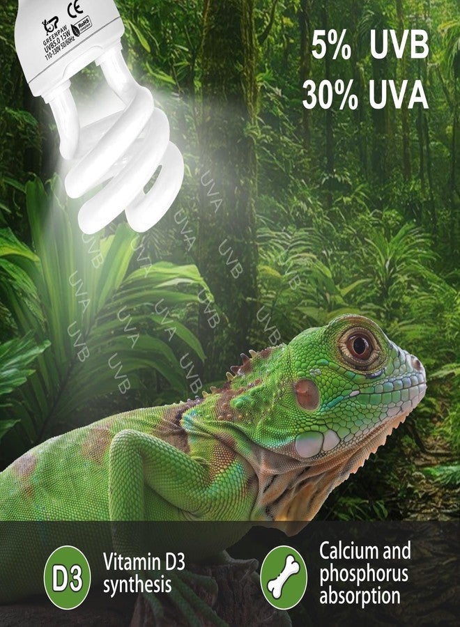 GREENPAW UVB Reptile Light, 5.0 15W UVA UVB Light for Reptiles, Spiral Compact Fluorescent UVB Bulb for Chameleons Tortoise Iguanas and Snakes - Image 3