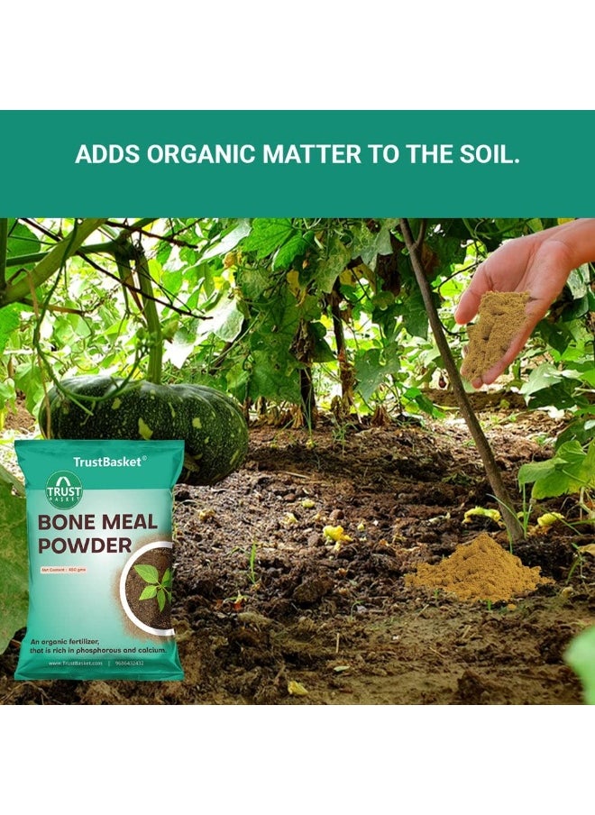 TrustBasket TrustBasket Organic Bone Meal for Plants Home Gardening | Steamed Bone Meal | Rich in Phosphorus and Calcium | Natural Plant Fertilizer| - 450 Grams (Set of 2)  - Image 2