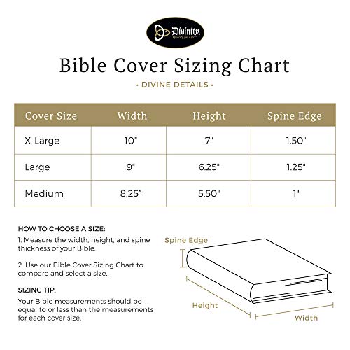 Divinity Boutique Teal Blue Butterfly (XL) Bible Cover - Image 3