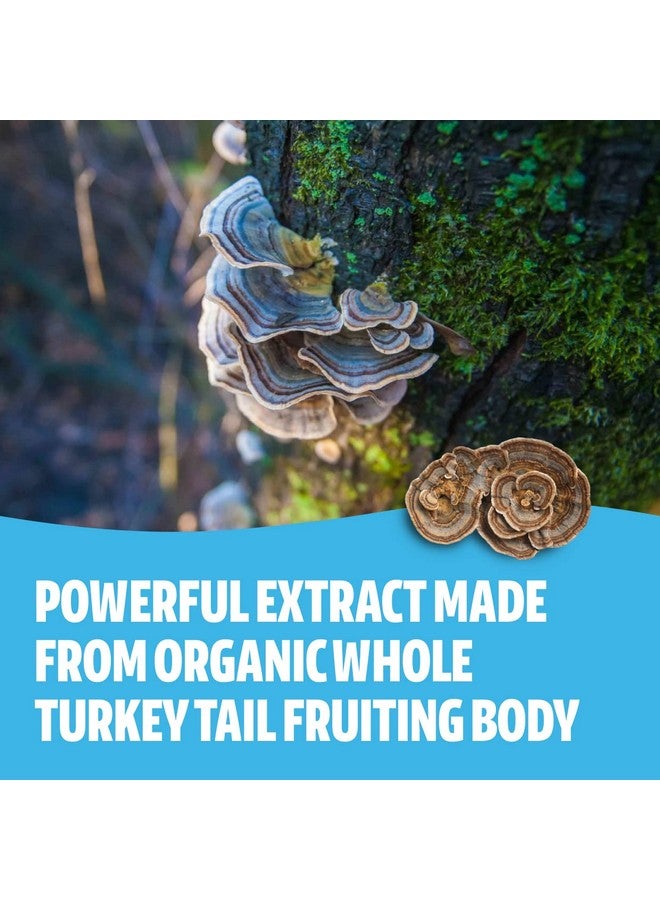 FreshCap Mushrooms كبسولات فطر ذيل الديك الرومي فريش كاب 120 حبة 60 يوم إمداد دعم مناعي قوي (35% بيتا غلوكان) مكمل فطري يومي عضوي مستخلص جسم الثمرة - Image 4