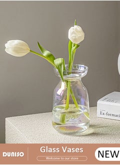 Glass Vases for Decor, Decorative Vases for Flowers, Aesthetic Clear Vases for Living Room Decorations, Modern Hydroponic Glass Transparent Vase Vase for Dining Table Home Decor