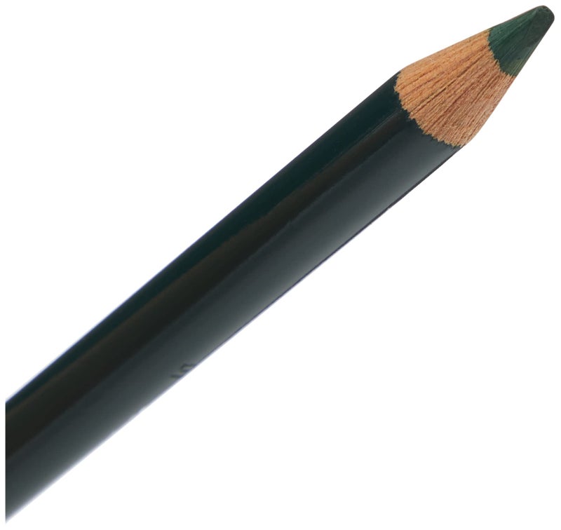 FABER-CASTELL Faber-Castell POLYCHROMOS ARTIST COLOUR PENCILS PINE GREEN - Image 3