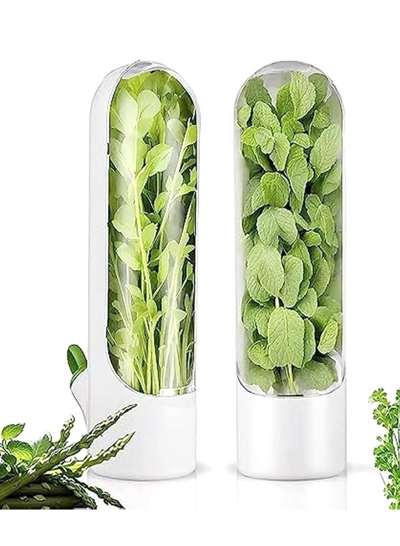 أداة لحفظ الأعشاب الطازجة مثل النعناع والريحان والكزبرة – حافظ على الأعشاب طازجة لفترة أطول مع خزان ماء - Image 1