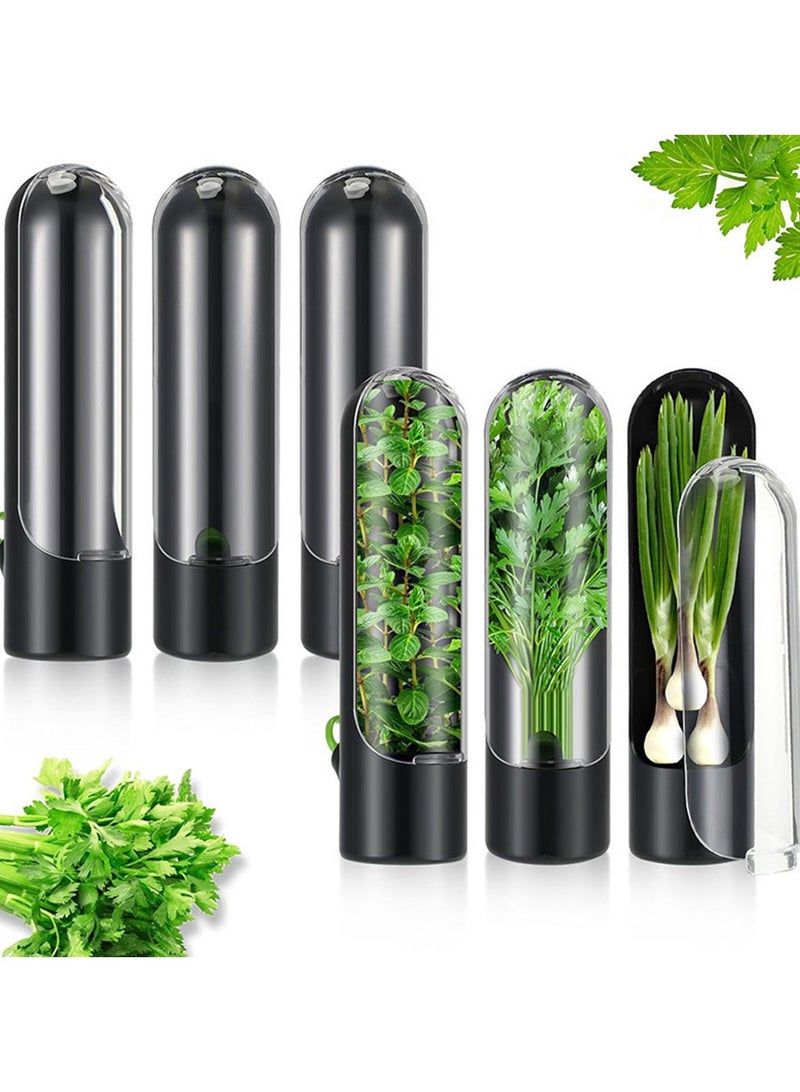 أداة لحفظ الأعشاب الطازجة مثل النعناع والريحان والكزبرة – حافظ على الأعشاب طازجة لفترة أطول مع خزان ماء - Image 3