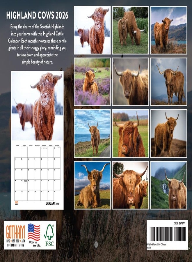 Poster Foundry Highland Cow Calendar 2026 Scottish Cows Gifts For Highland Cow Lovers Hyland Hairy Coo Monthly Wall Calender 12 Month | American Made In The USA - Image 3