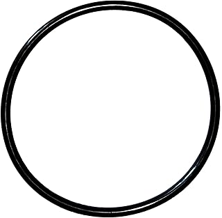 Koatukys Koatukys R172009 O-283 O-Ring Replacement For Pentair Model 320/322 Pool and Spa Chlorinator Lid  - Image 1