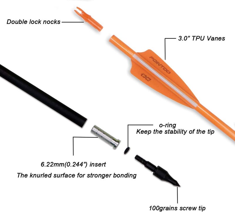 Pointdo 30inch Carbon Arrow Fluorescence Color Targeting and Practice and Hunting Arrows for Compound Bow and Recurve Bow with Removable Tips(Pack of 12) - Image 2