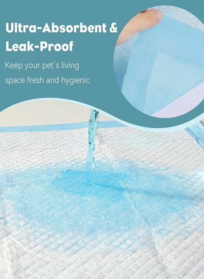 باوفلي بطانات أقفاص الطيور من باوفلاي، 40 ورقة للاستخدام مرة واحدة، 23.6 بوصة × 23.6 بوصة، بطانات ورقية فائقة الامتصاص ومقاومة للتسرب، قابلة للقص، مناسبة لأقفاص الببغاوات، مع وسائد وأغطية وإكسسوارات للحيوانات الأليفة. - Image 2