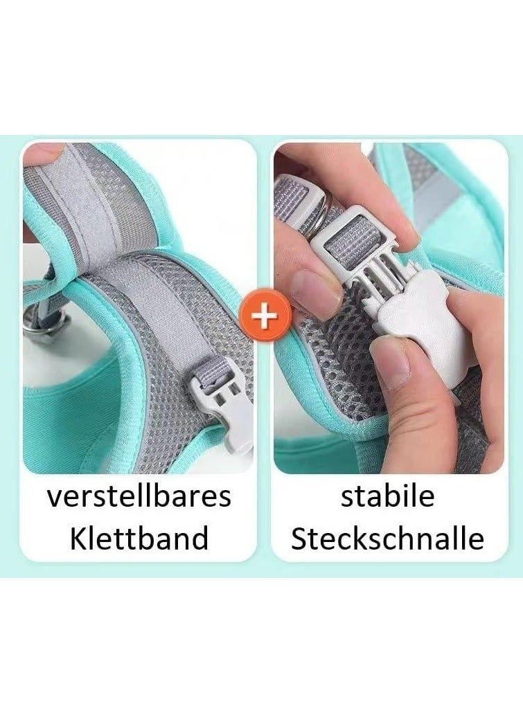 Oasisgalore Dog Harness with Leash for Small Dogs, Pets, Puppies, Cats - Image 4