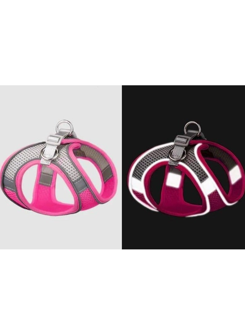 Oasisgalore Dog Harness with Leash for Small Dogs, Pets, Puppies, Cats - Image 5