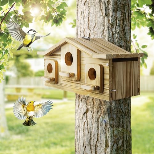 Auslar Bird House, Bird Houses for Outside for 3 Bird Families, Wooden Birdhouse for Outdoors, 3 Hole Hanging Bluebird House for Cardinals Finch Wren Swallow for Garden Viewing - Image 4