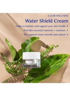 Sekkisei Clear Wellness Water Shield Cream Refill Facial Moisturizer For Sensitive Skin 1.4 Ounce  - Image 3