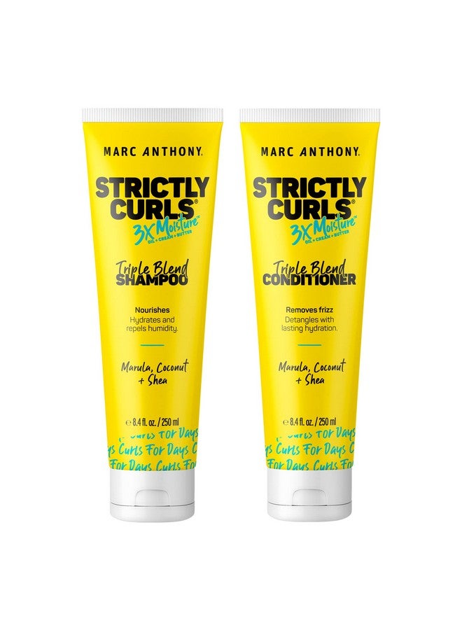 MARC ANTHONY شامبو وبلسم أرك أنطوني ستريكلي كيرلز 3X ترطيب عميق لتعريف التجاعيد ومضاد التجاعيد زبدة الشيا زيت المورولا زيت الألوة وزيت جوز الهند خالي من الكبريتات آمن للألوان للشعر المجعد الجاف التالف - Image 2