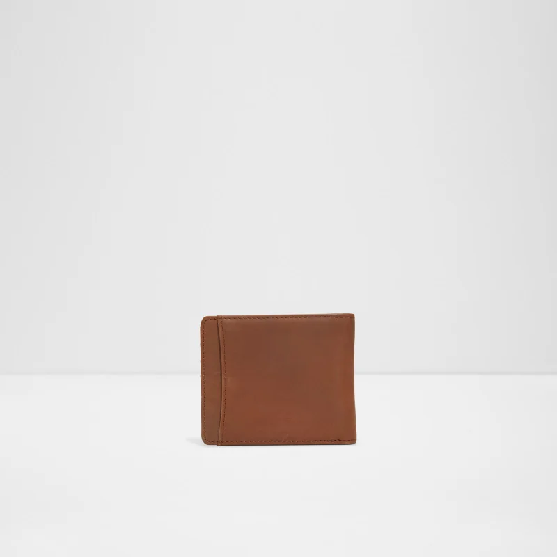 ALDO  Ethuwin Men's Brown Wallet for Men | Best Price UAE