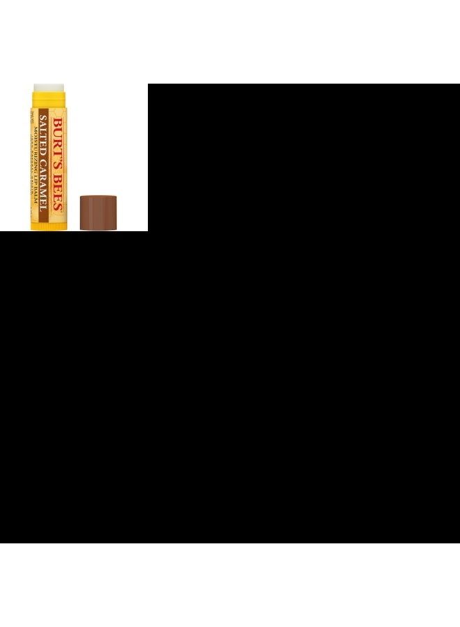 Burt's Bees Burts Bees Salted Caramel Moisturizing Lip Balm Lip Balm (Limited Edition) Unisex 0.15 oz