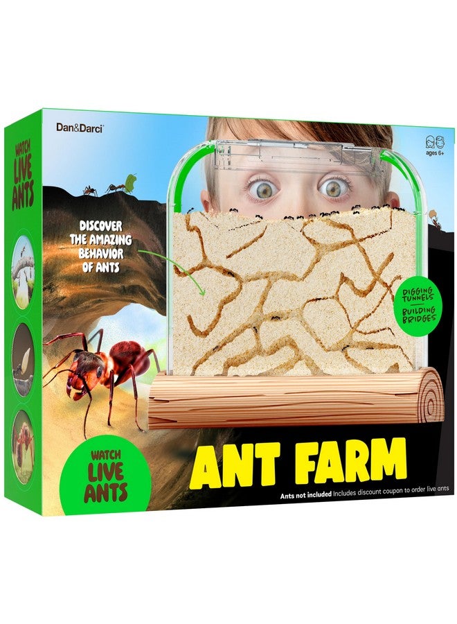 دان آند دارسى مجموعة مزرعة النمل للأطفال - مستعمرة مزارع النمل - تتضمن قسيمة النمل - مجموعات موائل الرمل - منزل تررم الحشرات - هدايا علمية تعليمية للأطفال - ألعاب تعليمية عن الطبيعة للأولاد والبنات والكبار - Image 1