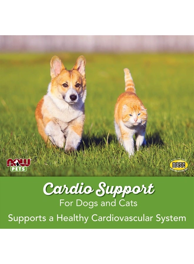 now صحة الحيوانات الأليفة، مكمل دعم القلب والأوعية الدموية، مصمم للقطط والكلاب، معتمد من NASC، مسحوق، 4.5 أونصة - Image 5