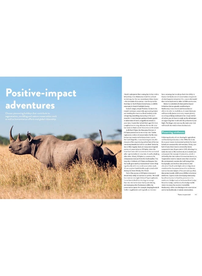 The Green Traveller: Conscious adventure that doesn't cost the earth  - Image 4