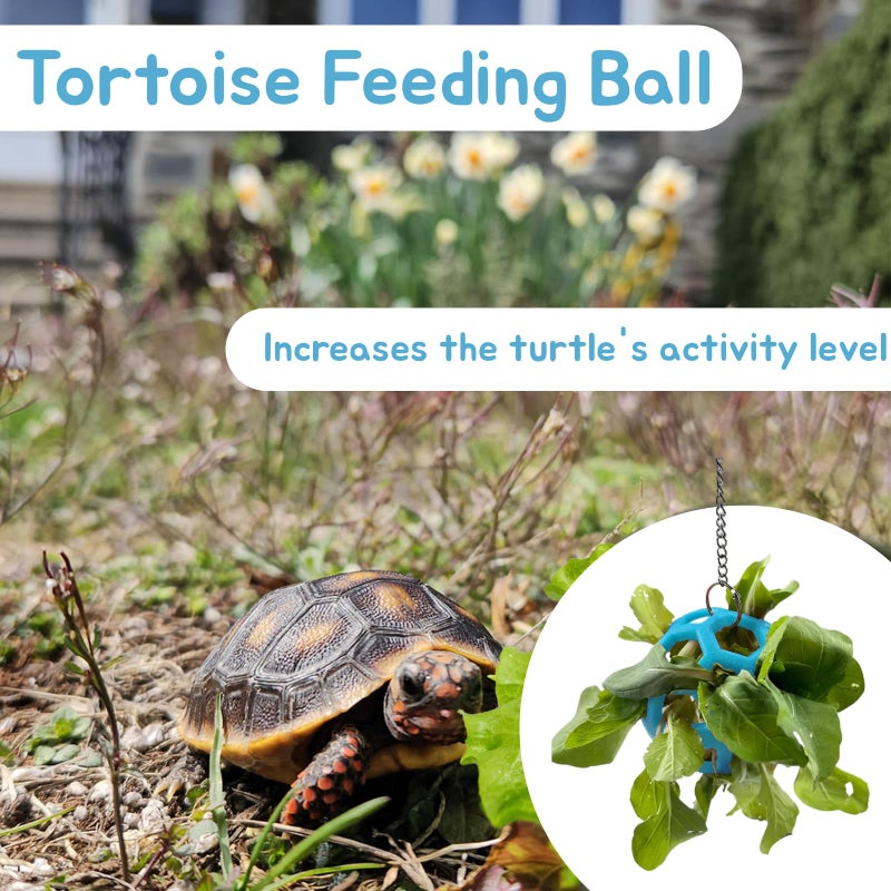 Fertrey 2 Pcs Tortoise Treat Ball, Hanging Hay Feeder for Small Animals, Turtle Foraging Toy with Fruit with Chain, Enrichment Feeding Ball for Pet Tortoise - Image 5