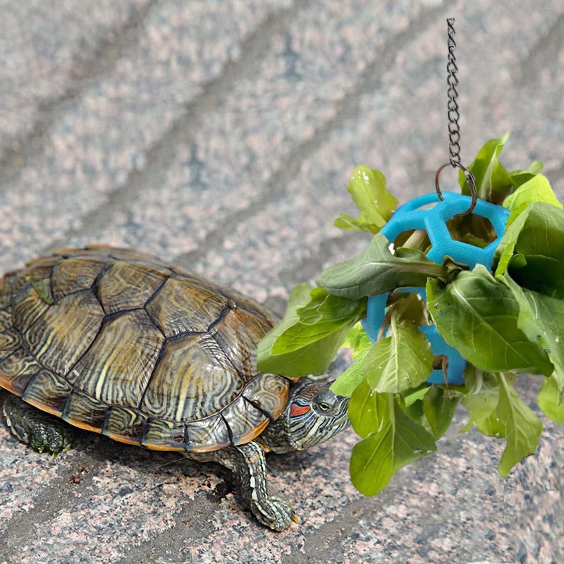 Fertrey 2 Pcs Tortoise Treat Ball, Hanging Hay Feeder for Small Animals, Turtle Foraging Toy with Fruit with Chain, Enrichment Feeding Ball for Pet Tortoise - Image 3