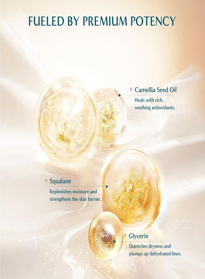 FLORASIS Dewy Touch Tinted Lip Balm Lip Mask Lip Balms for Dry Lips (01 Aromatic Peach, 1 Count) - Image 3