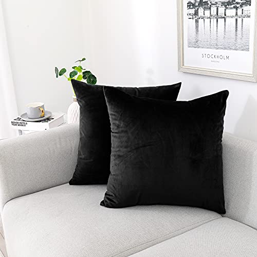 NiNi ALL Decorative Throw Pillow Covers Pack of 2, Velvet Throw Pillow Cases for Couch Pillows Cover Bedroom Living Room Outdoor, Pillow Covers 16x16 Inch, Black - Image 1