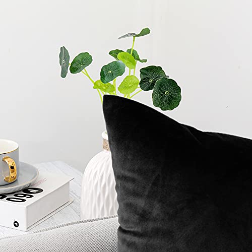 NiNi ALL Decorative Throw Pillow Covers Pack of 2, Velvet Throw Pillow Cases for Couch Pillows Cover Bedroom Living Room Outdoor, Pillow Covers 16x16 Inch, Black - Image 3