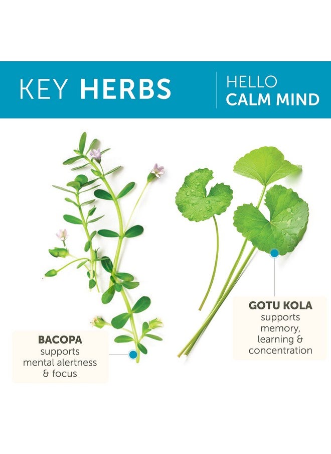 Himalaya - Hello Calm Mind With Bacopa Gotu Kola & Ltheanine For Relaxation Focus Concentration & Racing Thoughts Nongmo Vegan Glutenfree 620 Mg 60 Vegetarian Capsules 1 Month Supply - Image 1