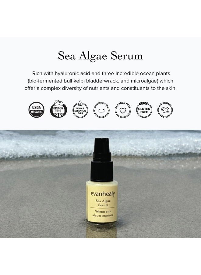 evanhealy Evan Healy Sea Algae Serum 0.5oz serum - Image 3