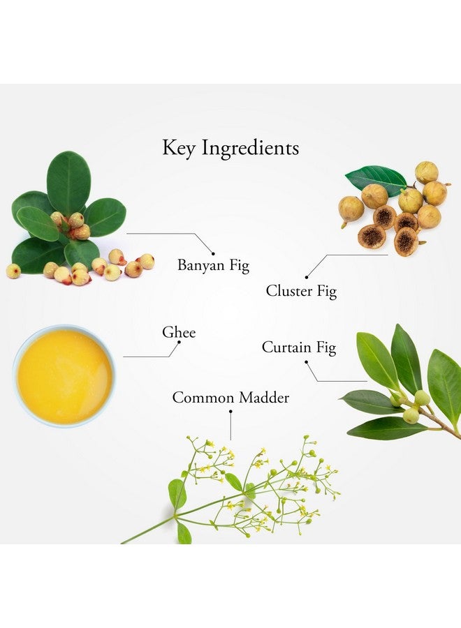 SITARAM سيتارام شاثادهاوثا غريثام 15 جرام | شاتا داوتا غريتا | علاج فعال للحروق والبثور، الجلد الجاف والمتشقق، لدغات الحشرات وعضاتها - Image 3